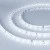 46c29725b2e1a8e275701cc17ca1cc29