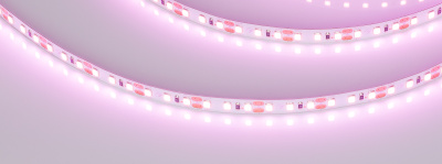 075596ca038e100537835ac45f6a9c94